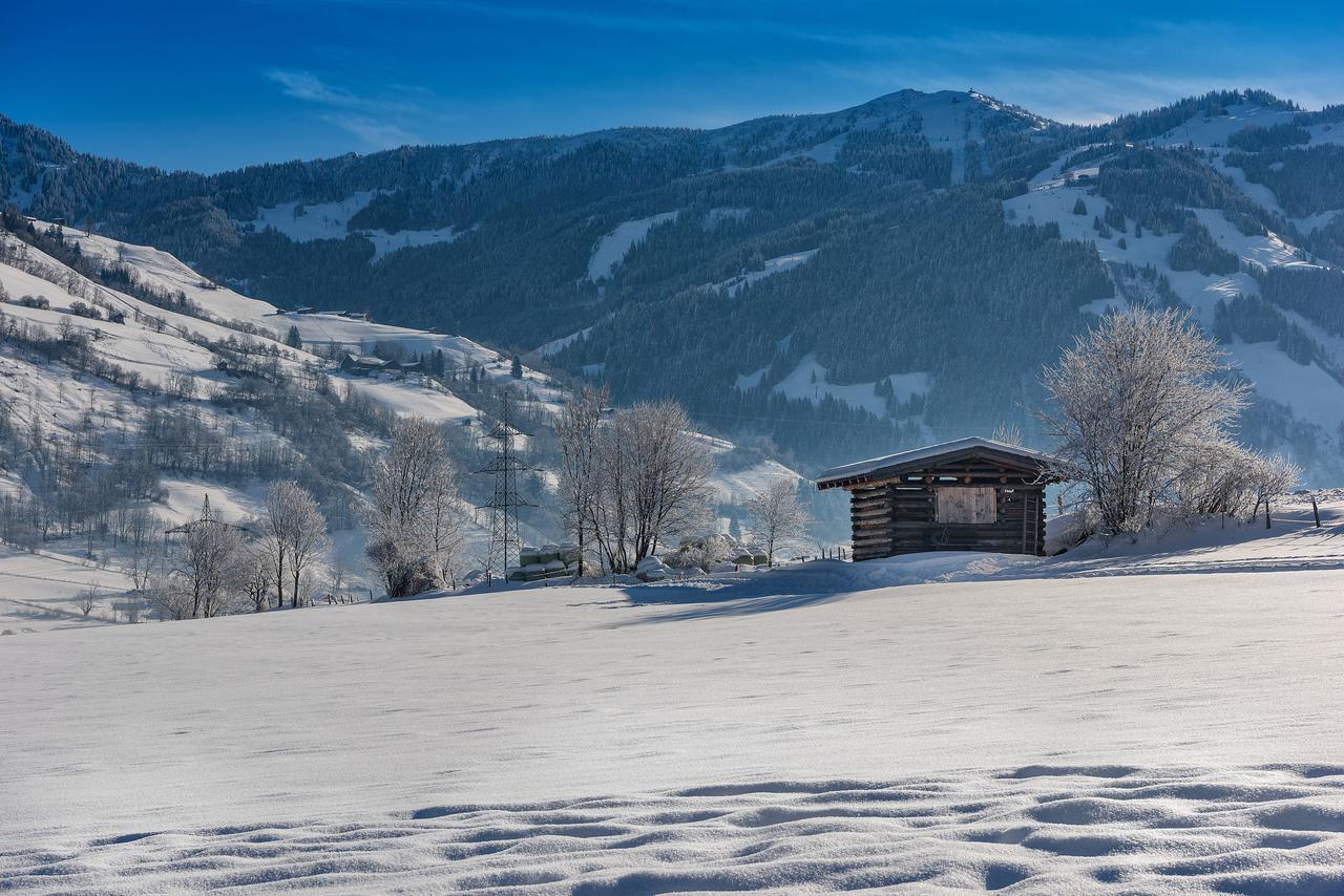 Bauernhofhotel "Die Unterbergerin" - Zimmer Mit Fruehstueck Und Ferienwohnungen In Gastein Mit Gratis Thermeneintritt Dorfgastein Zewnętrze zdjęcie