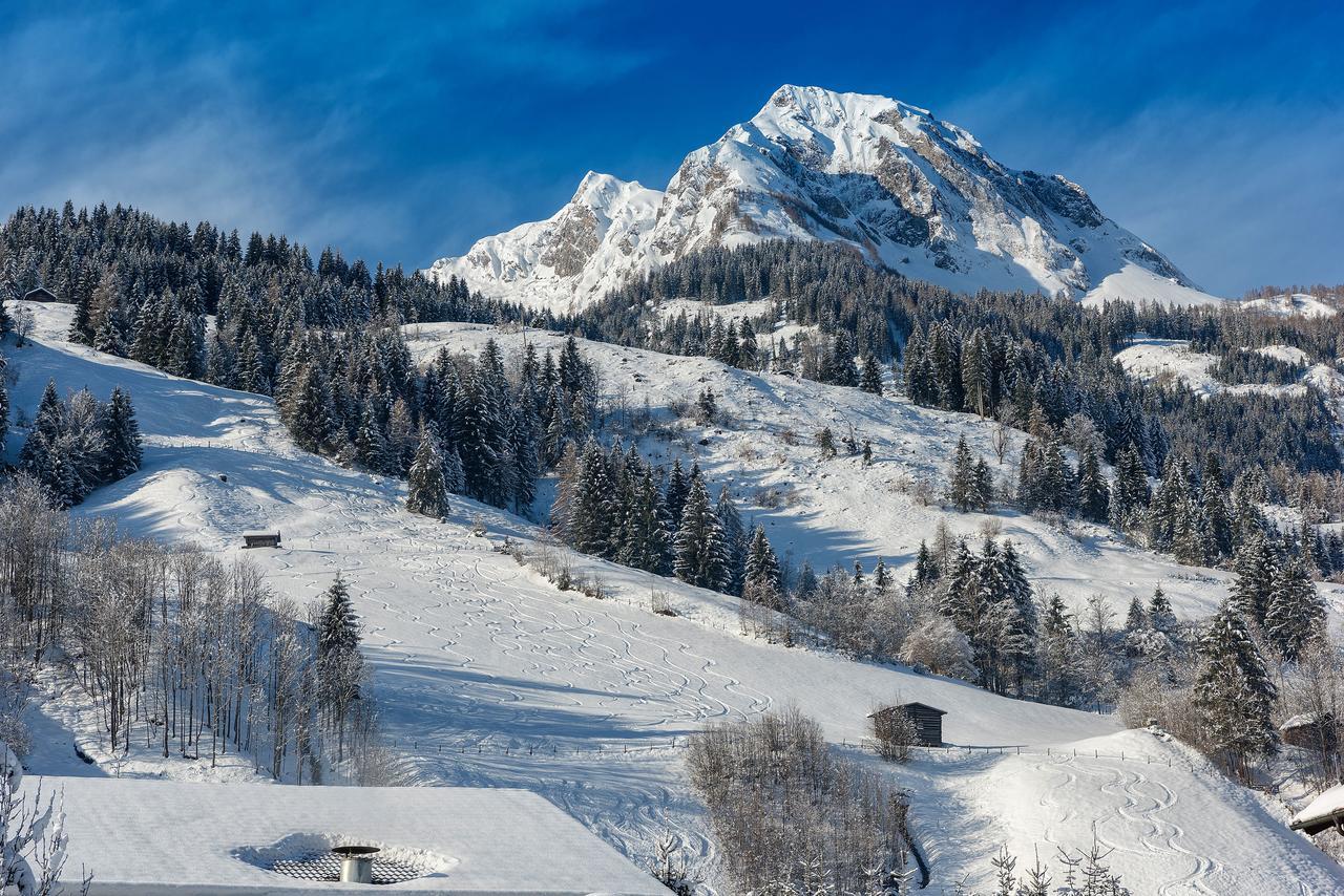 Bauernhofhotel "Die Unterbergerin" - Zimmer Mit Fruehstueck Und Ferienwohnungen In Gastein Mit Gratis Thermeneintritt Dorfgastein Zewnętrze zdjęcie