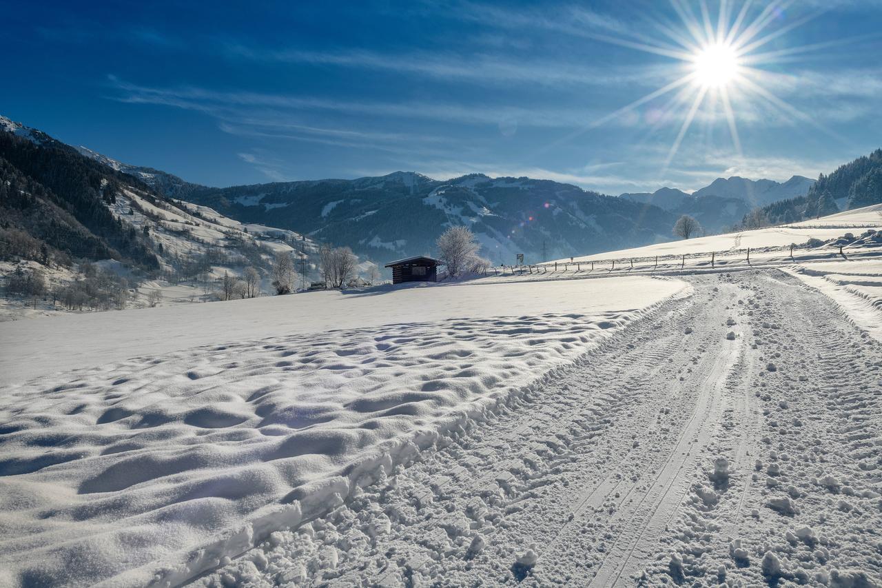 Bauernhofhotel "Die Unterbergerin" - Zimmer Mit Fruehstueck Und Ferienwohnungen In Gastein Mit Gratis Thermeneintritt Dorfgastein Zewnętrze zdjęcie